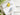Goldfinch and bluebird set of tea towels
