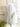 white linen apron with wildflowers in vase watercolor art