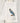 Stellar's Jay Organic Cotton Tea Towel