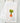 fresh bunch carrot art on cotton dish cloth