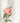 Peony Bud Cotton Market Bag