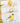 Set of three French linen tea towels printed in Canada with goldfinch wildflower and sunflower art