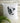 throw pillow with black and white cow art