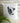 throw pillow with black and white cow art