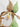 wild orchid painting