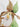 lady's slipper wild orchiid print