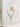 orange tulip stem on linen dish towel